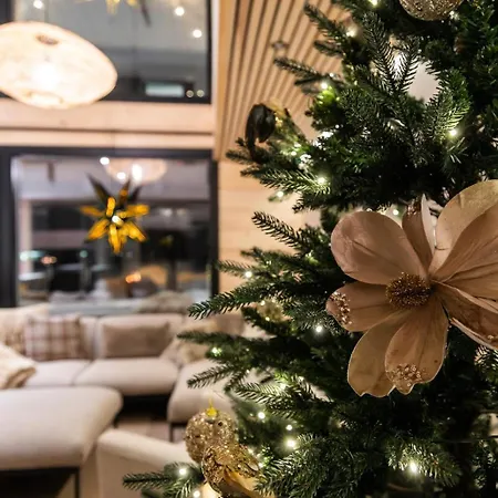 Log Modern Interior Nyaraló